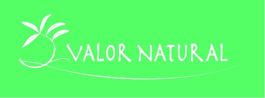 Valor Natural Logo